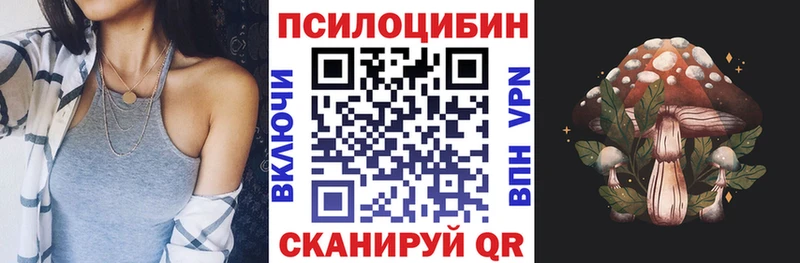 Псилоцибиновые грибы прущие грибы  ОМГ ОМГ зеркало  Хасавюрт 